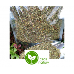 CZYSTEK Cistus incanus Turcja